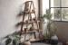 Maximus Ladder Shelf -