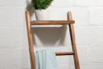 Asha Ladder with Shelf -